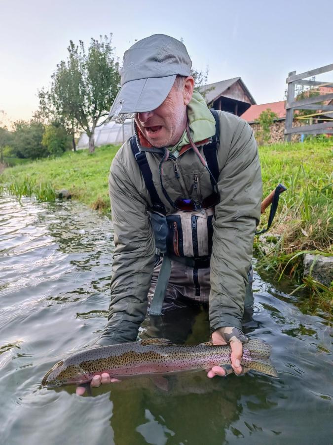 Krka River Lodge Znojile pri Krki المظهر الخارجي الصورة